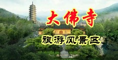 黄色-级操B中国浙江-新昌大佛寺旅游风景区